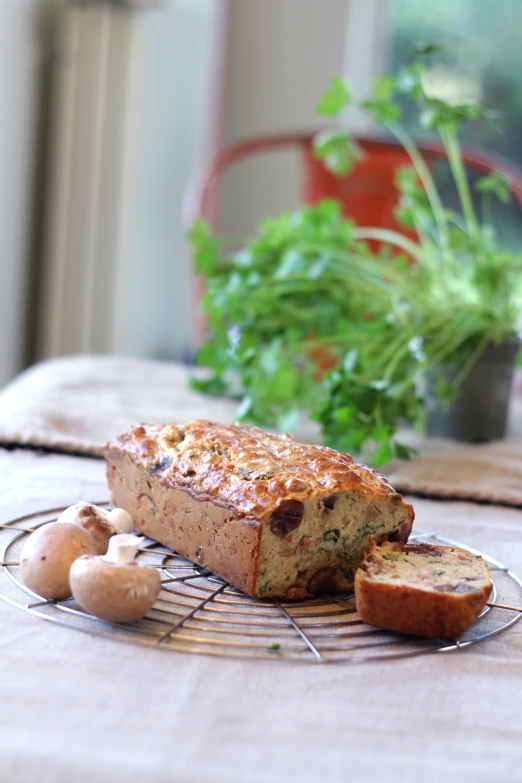 a plate with bread and a few mushrooms next to some plants