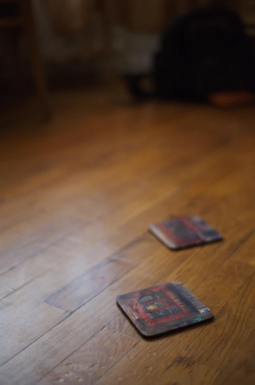 two cards on the ground in front of a dog