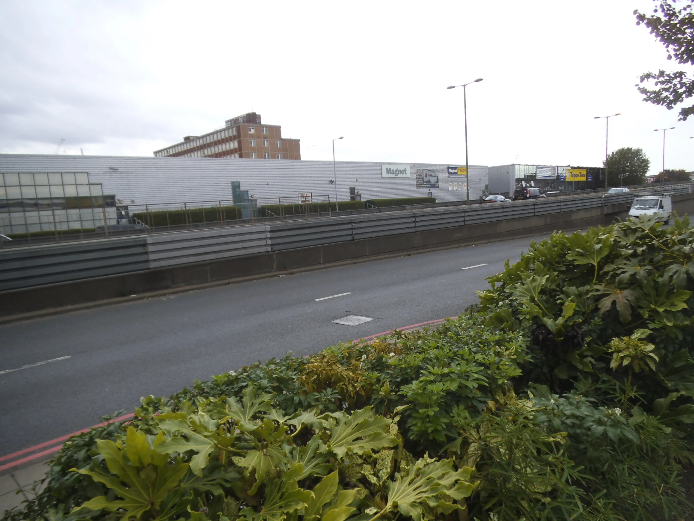 a road with a guard rail over it next to some shrubbery