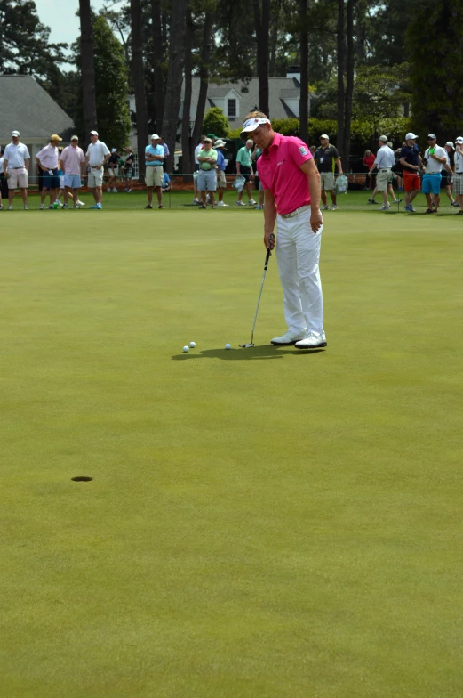 a man in pink shirt playing golf on green field