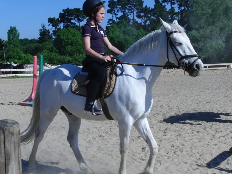 a  sitting on a white horse