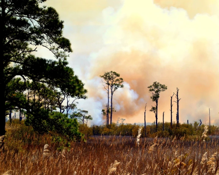 smoke billowing from a sky as it rises over the ground