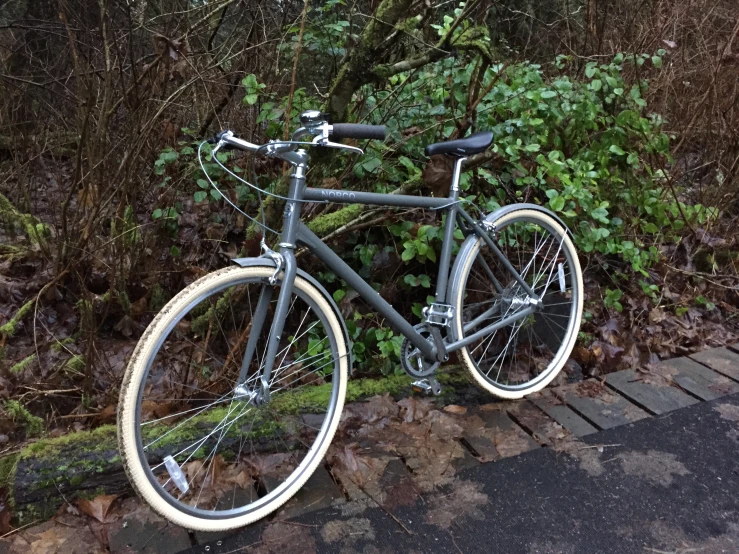 the grey bike is standing in front of some vegetation