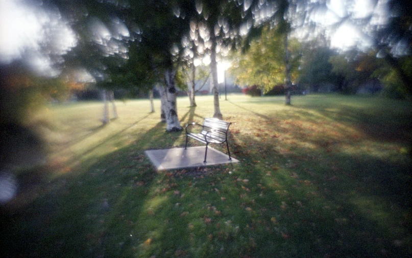 an empty bench sitting next to trees on a field