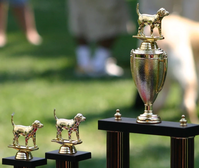 three shiny trophies with small dogs and horses standing around them