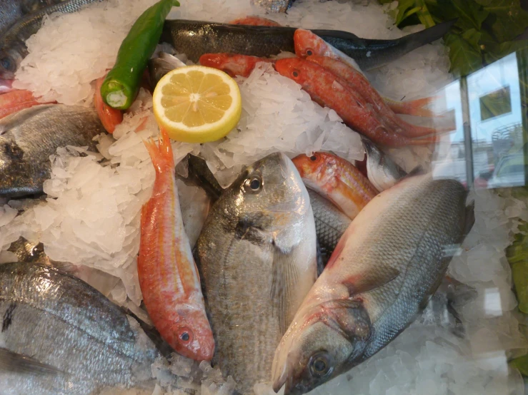 several small fish are on ice, some cut in half and one is with lemon