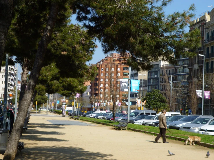 people walking down a busy street in an urban area