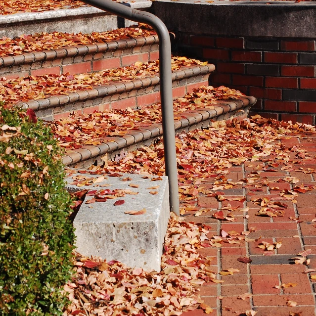 stairs lead to a staircase with a metal rail