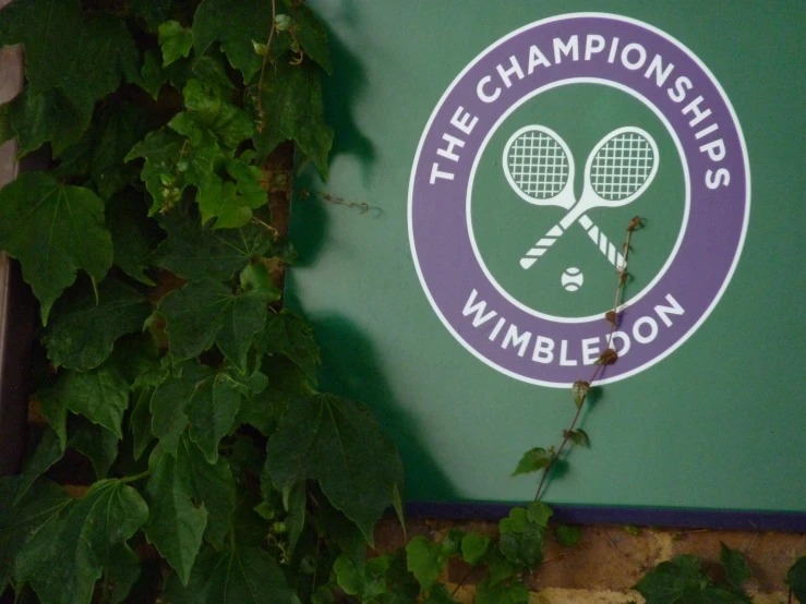 a tennis ball is stuck to the side of a green sign