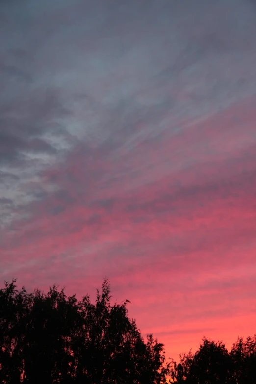 pink sky with white clouds and dark trees