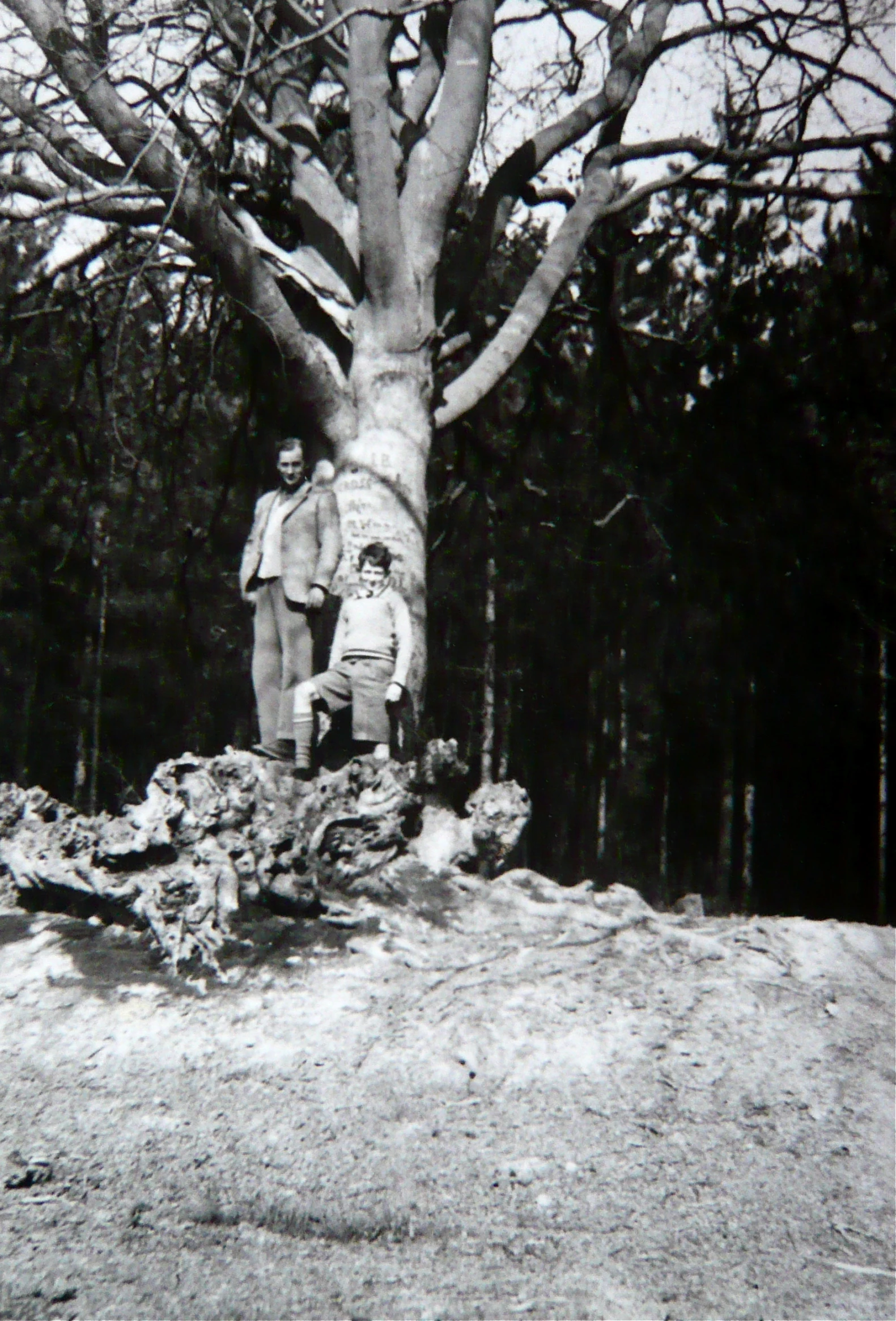 a black and white po of two people standing under a tree