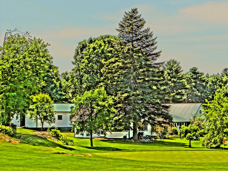 two green trees that are near a white house