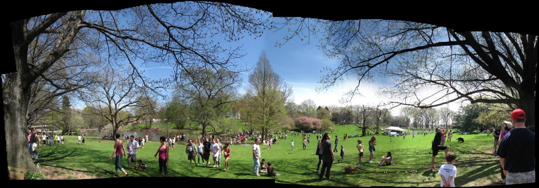 several people in a large grassy area with trees