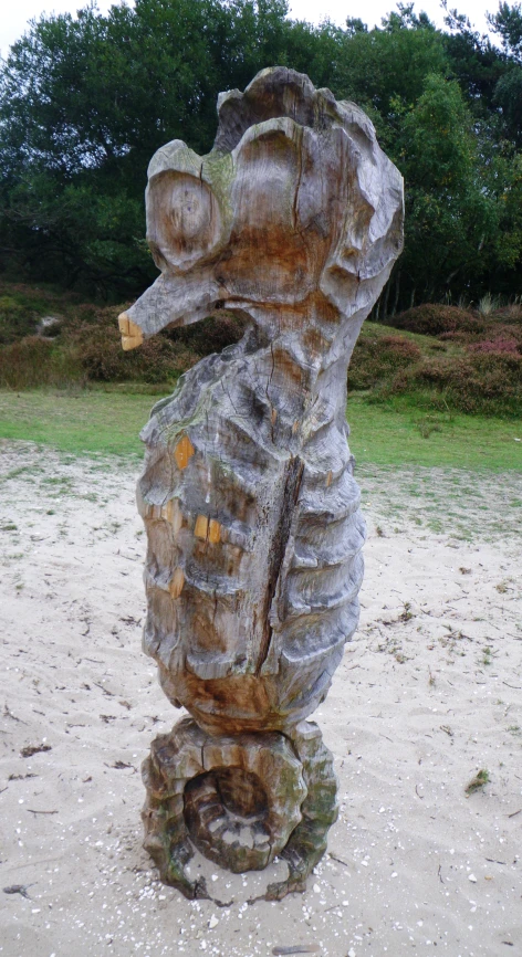 an old and rusty sea horse in the sand