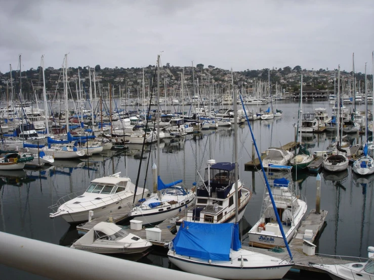 many boats are tied up in the water