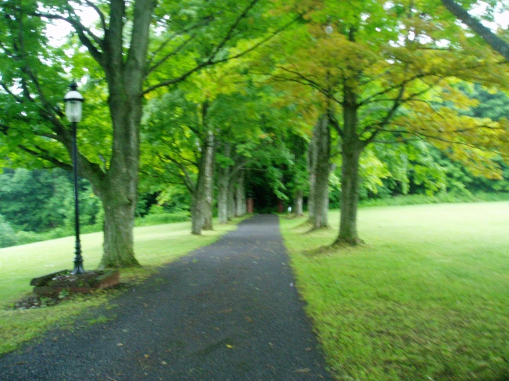 a small path next to a sidewalk in the middle of a park