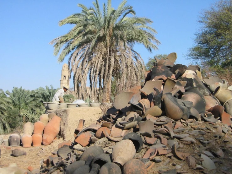 a large pile of rocks next to a tree