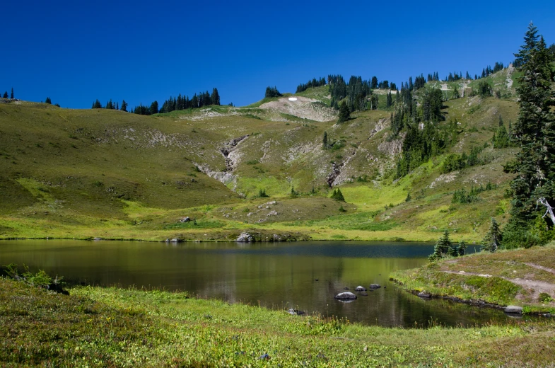 a lake surrounded by a green hillside covered in grass and trees