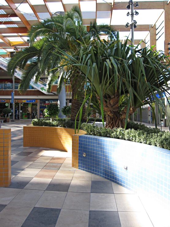 a large green palm tree sitting inside of a building