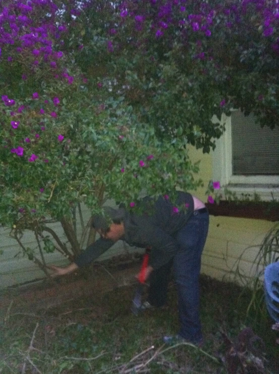 two people doing work together to prepare a flower tree