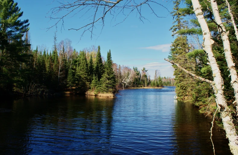 some water with trees all around and one has a canoe