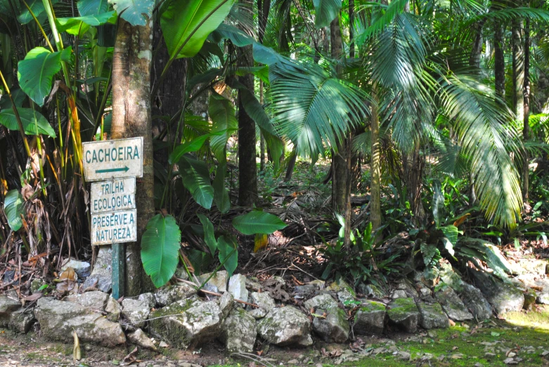 there is a sign at the base of a tree