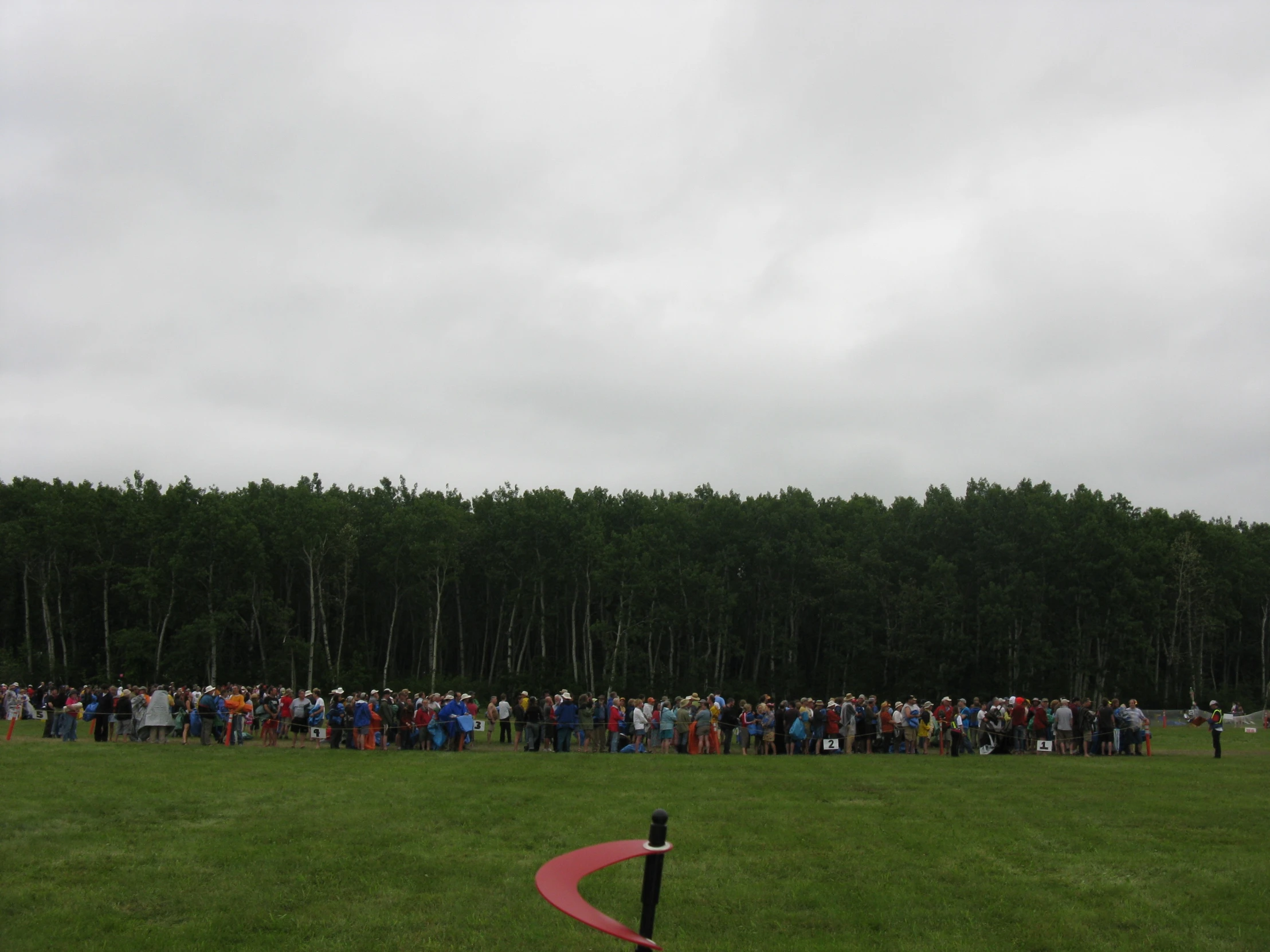 a group of people standing around a field flying a kite