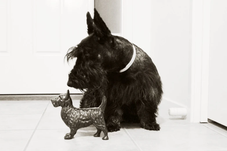 black scottish terrier with small ceramic dog toy