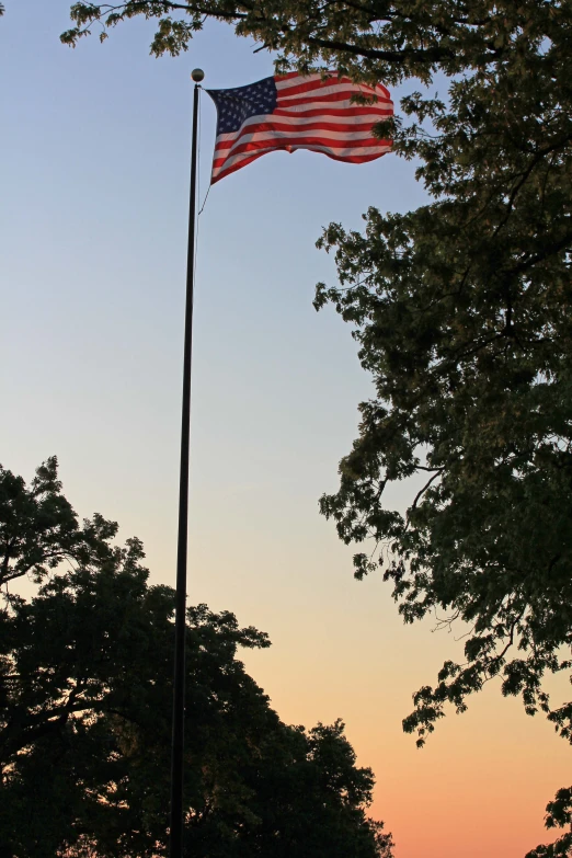 the american flag is visible from the trees near by