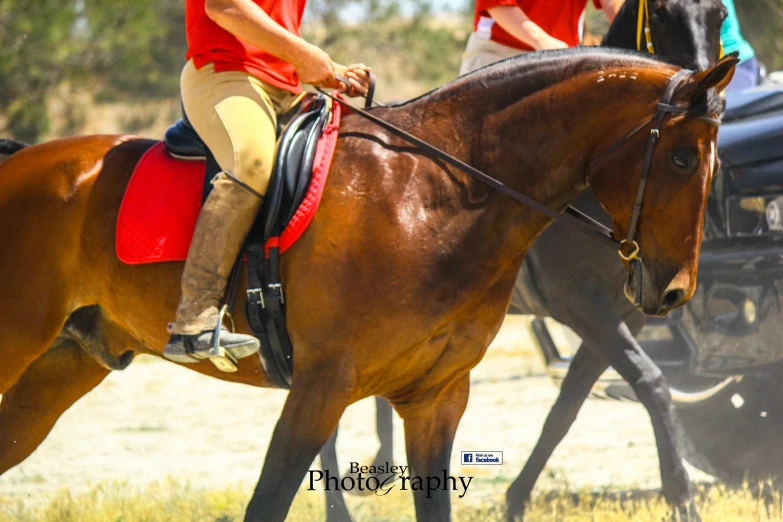 two men riding horses through a field of grass