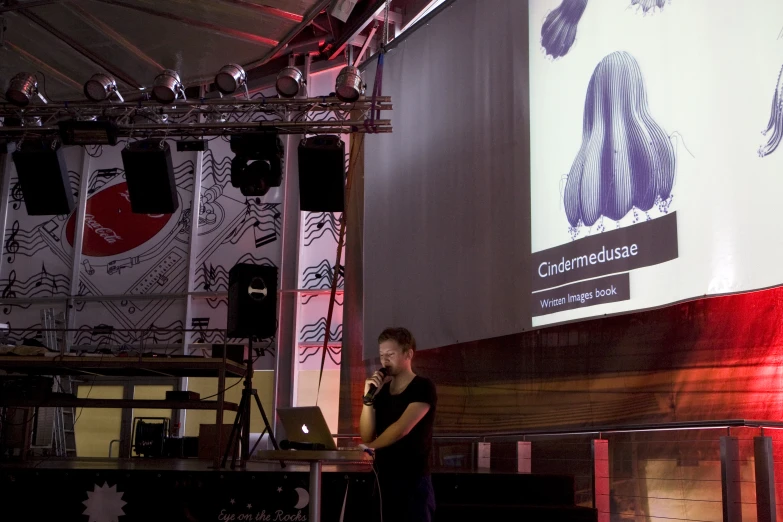 a man using a laptop on stage during a concert