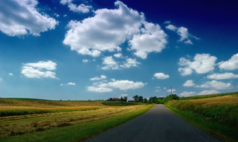 a rural road surrounded by lush green fields