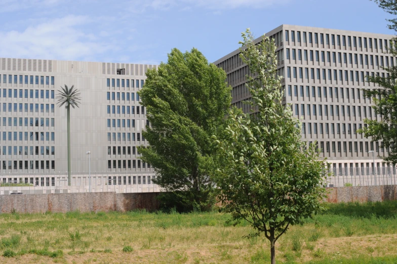 a row of office buildings beside a grassy field