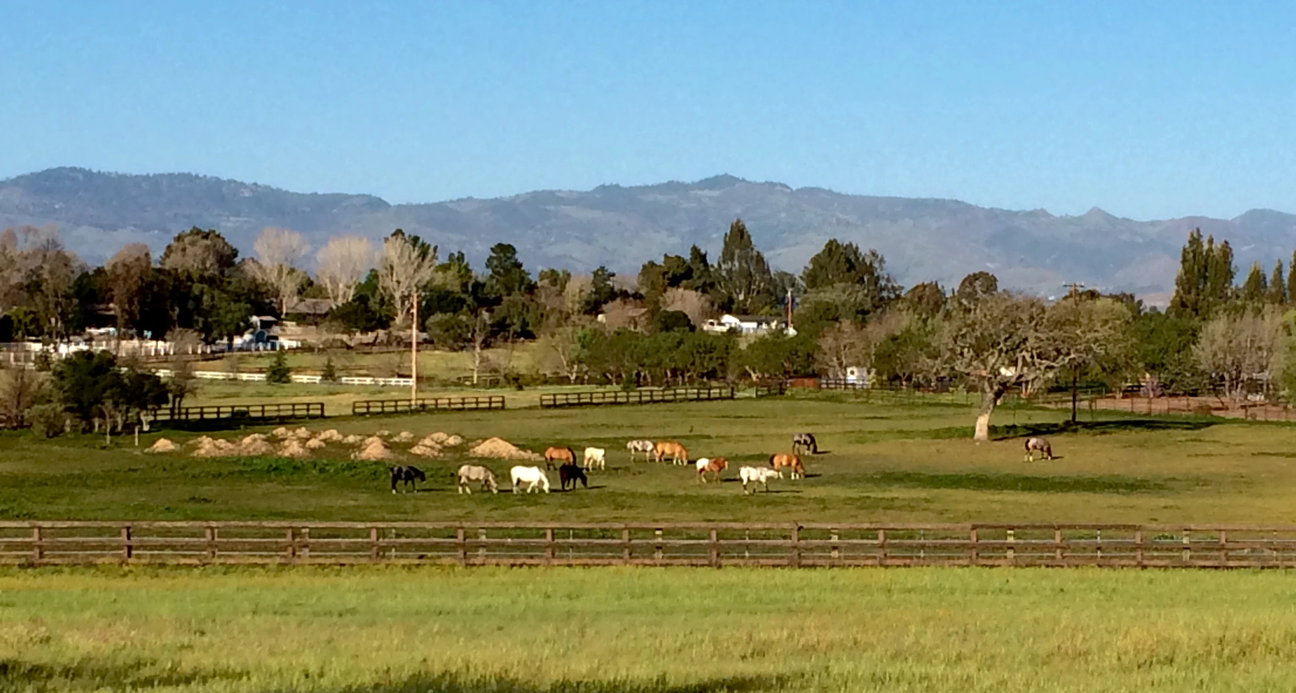 a farm with cows and horses in a field