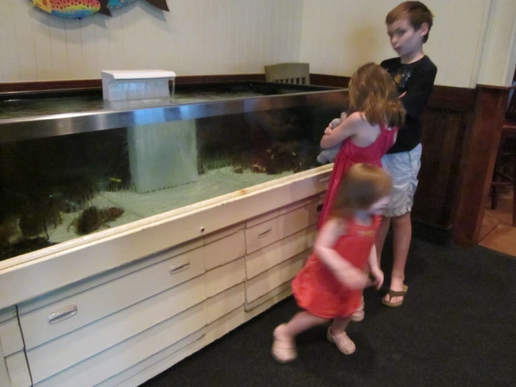 two children looking into an aquarium in a room