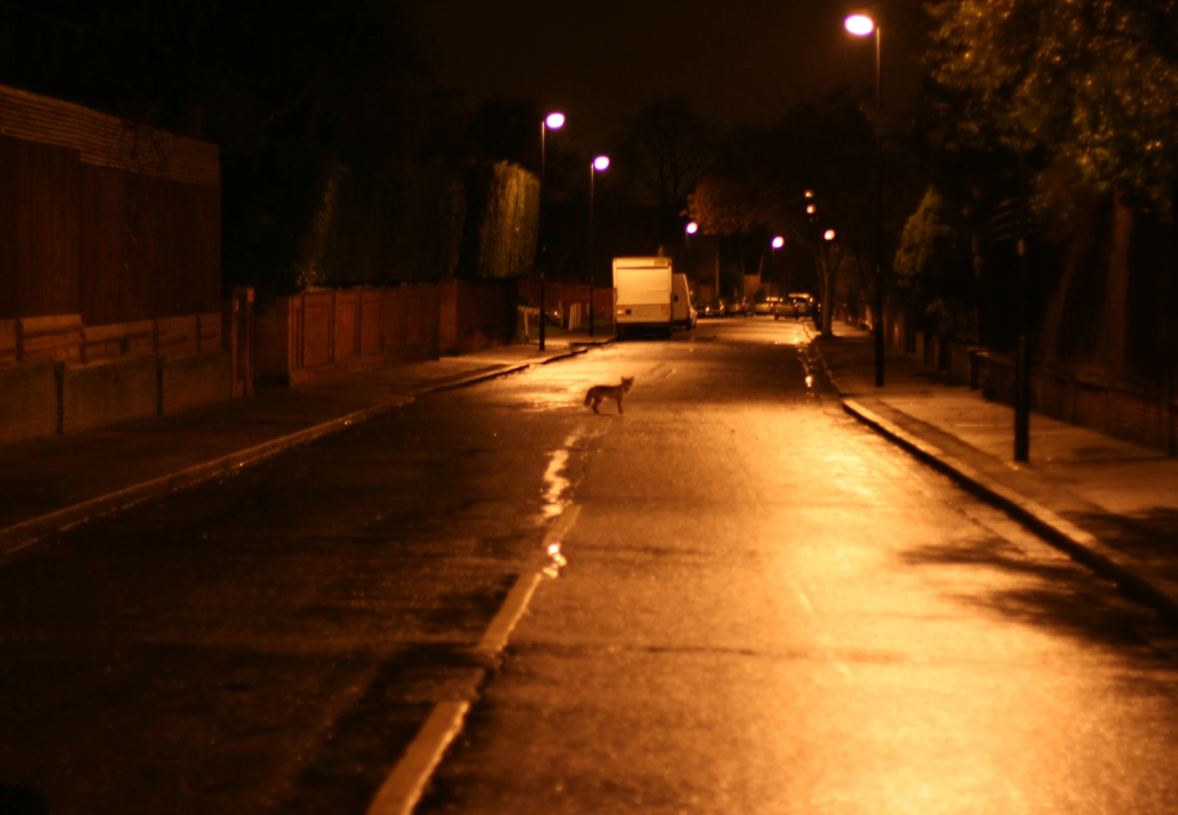 a wet city street at night with no traffic