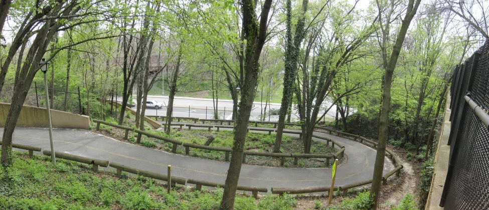 curved road in wooded area on street in wooded area