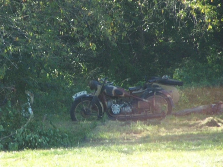 a motorcycle is sitting under a tree near a cat