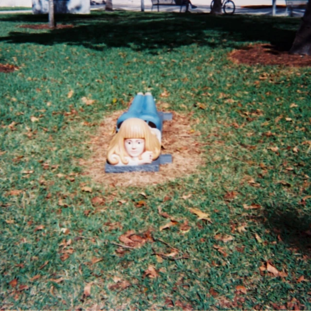 a sculpture that is laying in the grass