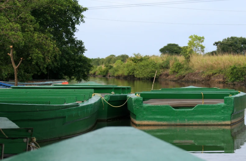 three green boats are on the water near the shore