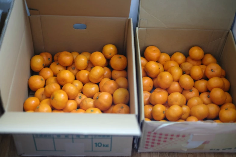 two boxes of tangerines with the lids on