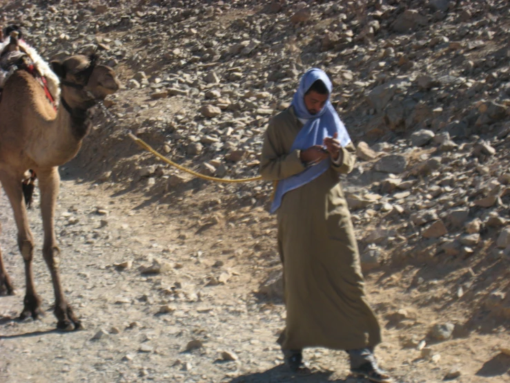a woman holding a map stands next to a camel