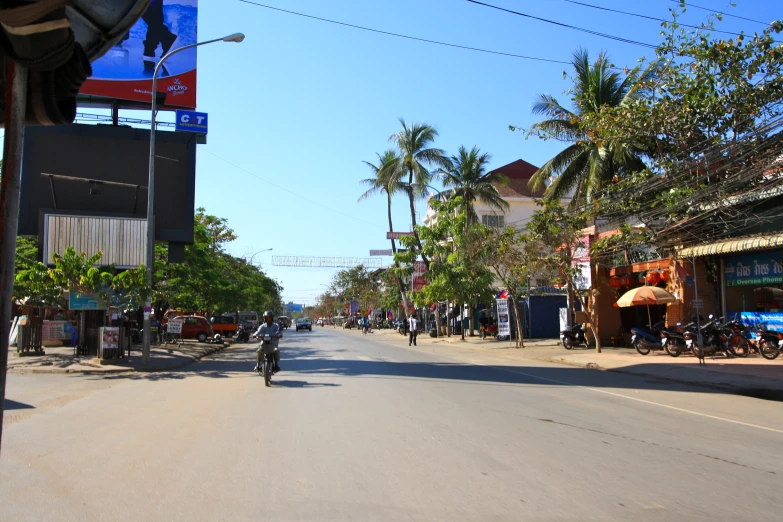 a street lined with palm trees next to a traffic light