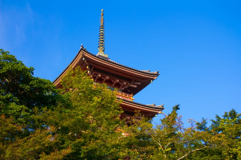tall, wooden building that overlooks the trees under blue sky