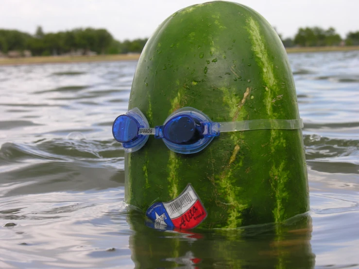 a watermelon boat float with goggles and a flag