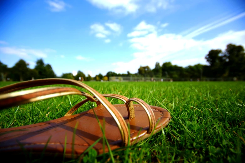 some brown sandals are in the grass and they're off to a good start