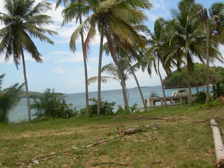 a small park sitting in the shade under palm trees