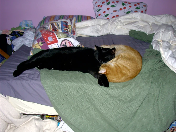 two black cats sleeping on a pile of unmade clothes