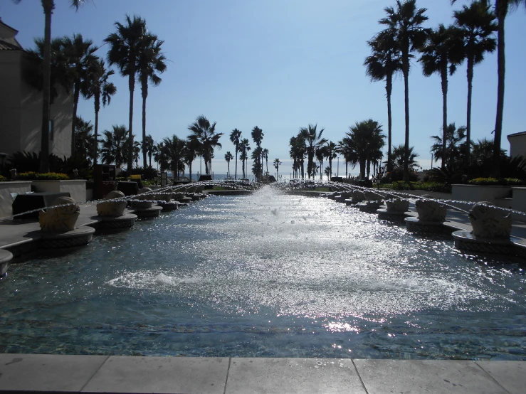 the water is crystal blue and calm with palm trees in the background