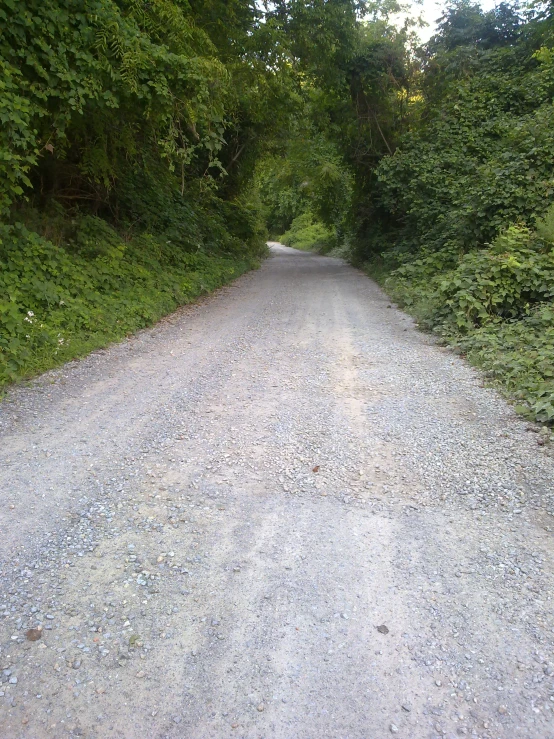gravel road with trees and grass in the middle